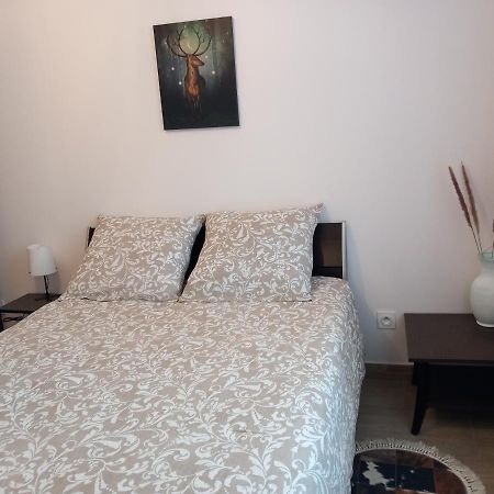 Beau F2-5Mn Aeroport D'Orly-Parking Prive Gratuit Apartment Paray-Vieille-Poste Exterior foto